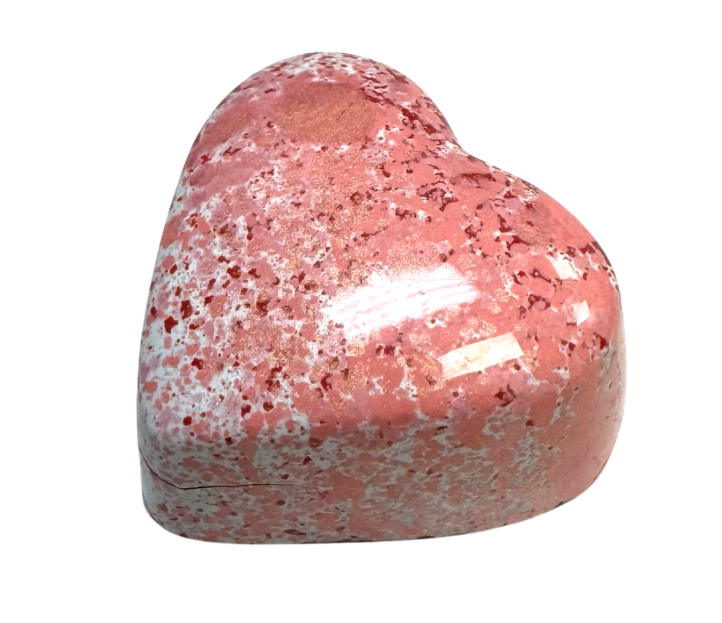 Raspberry Rose