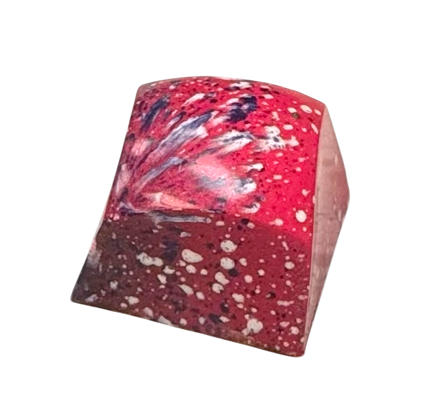 Raspberry Rose